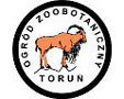 Toruń logo