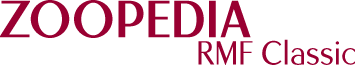 Zoopedia RMF Classic