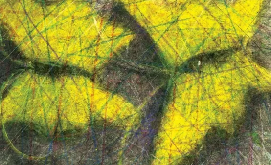 Złoty Gołąb w Lipsku dla filmu "Bracia" Wojciecha Staronia