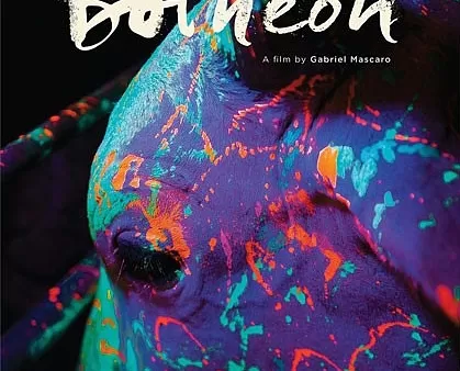 "Neonowy byk" z Brazylii wygrał 31. Warszawski Festiwal Filmowy