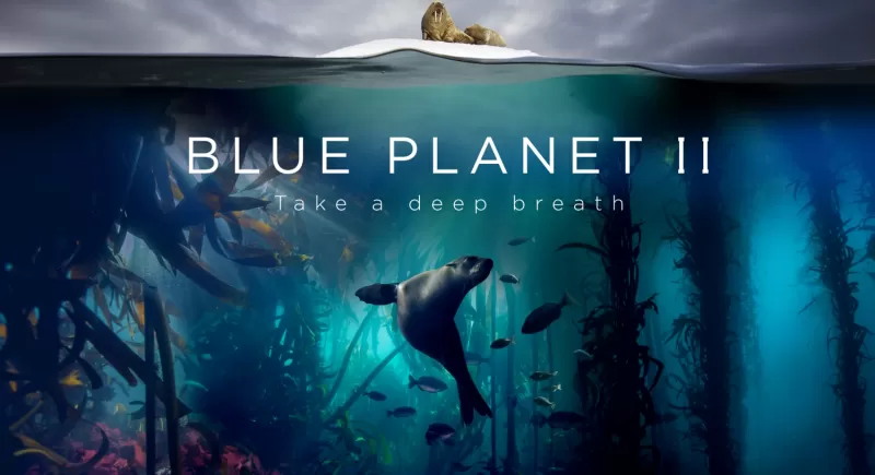 Radiohead i Hans Zimmer podejmują współpracę przy "Błękitnej Planecie II"! 