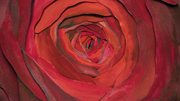 Radosław Rychcik w teatrze Słowackiego pokaże "Imię róży"