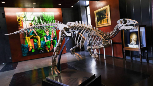 Na aukcję w Paryżu trafi szkielet niedużego dinozaura. Na ile został wyceniony?