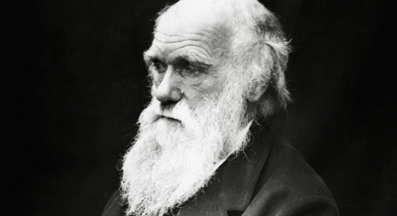 W Bibliotece Uniwersytetu Cambridge zaginęły notatniki Karola Darwina