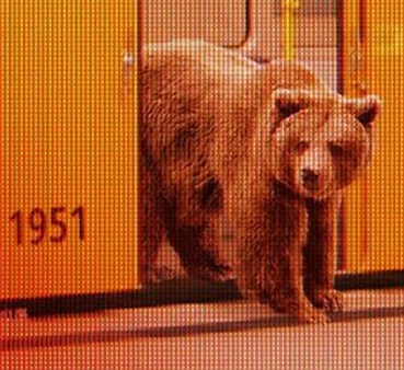 Ofensywa Krakowa na 66. Międzynarodowym Festiwalu Filmowym w Berlinie