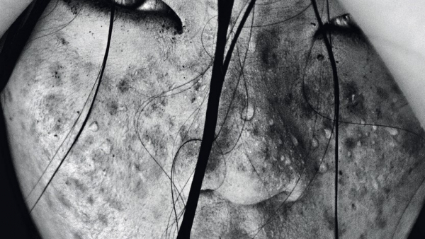 Od piątku festiwal Brave