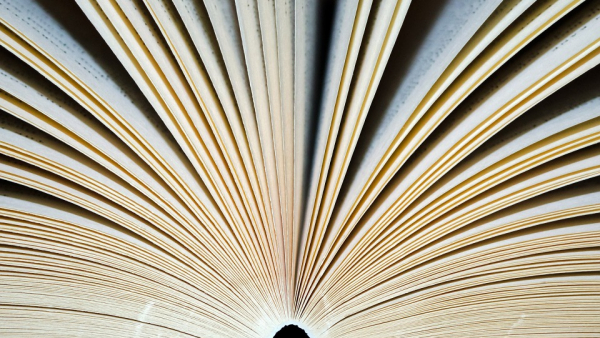 W małej wsi niedaleko Kielc działa Dom Spokojnej Książki