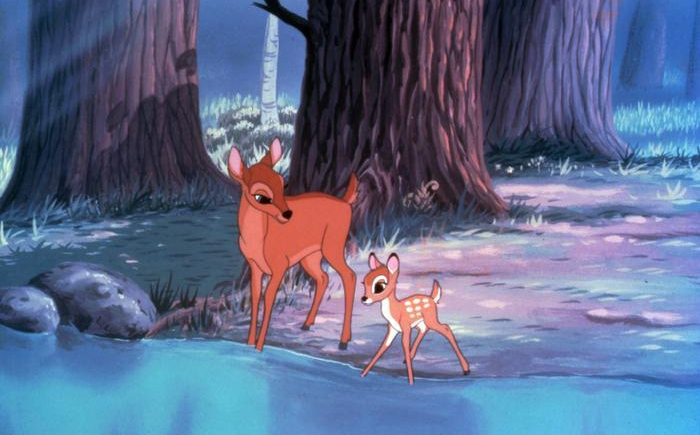 Kłusownik skazany na oglądanie "Bambiego"