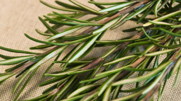 Antropolog badający najdłużej żyjące społeczności, zdradza przepis na napar długowieczności