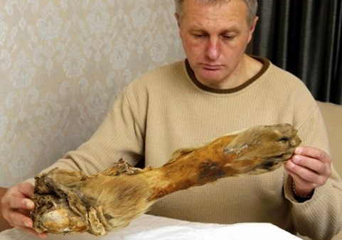 Wielkie polowanie na Yeti w Oksfordzie