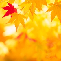 Jesienna ramówka RMF Classic z nową propozycją dla kobiet w programie porannym, zabawą w filmowe rebusy i  kryminałem na jesień