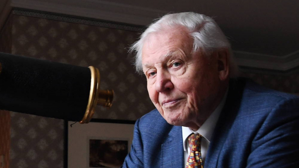 Sir David Attenborough po tym, jak w najkrótszym czasie na świecie zdobył milion fanów na Instagramie, usuwa konto