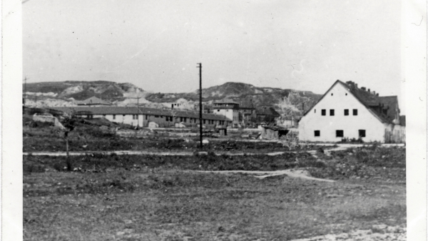 W związku ze zbliżającym się Międzynarodowym Dniem Pamięci o Ofiarach Holokaustu, Muzeum -Miejsce Pamięci KL Plaszow przypomina o 80. rocznicy likwidacji niemieckiego obozu koncentracyjnego Plaszow i jego historii 
