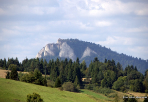 Zdjęcie