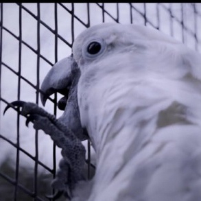 Polska reżyserka nagrodzona w konkursie "Capturing Freedom. Creating the Future"