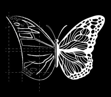 Polowanie na motyle - konkurs dla młodych dramaturgów