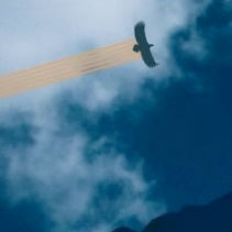 Polsko-słowacki projekt "Muzyka pod Tatrami"