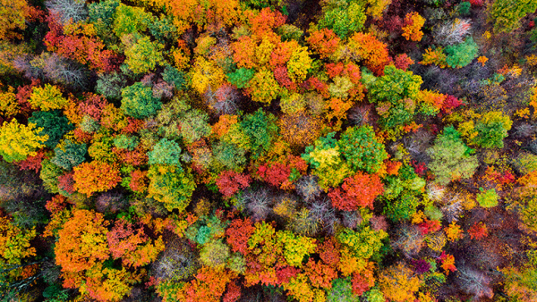 Jesienią w RMF Classic nowy konkurs oraz program z muzyczną filmografią gwiazd Hollywood