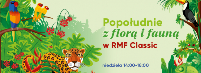 Popołudnie z florą i fauną