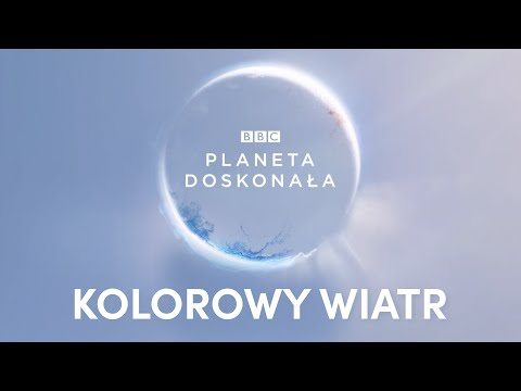 Krzysztof Zalewski (prod. Smolik) – Kolorowy wiatr (seria Planeta doskonała)