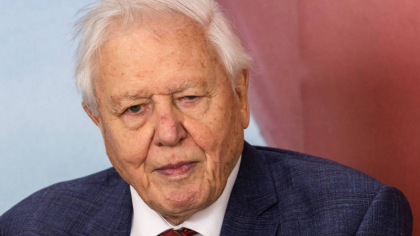 Sir David Attenborough po raz pierwszy zrealizował program o rodzimej przyrodzie