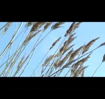 "Vater" - uniwersalna historia o kompleksie ojca