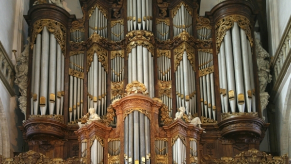 Organista pilnie poszukiwany