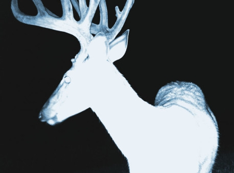 Premiera opery "Jolanta/Zamek Sinobrodego" w reż. Mariusza Trelińskiego w Metropolitan Opera