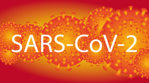 Pierwszy przypadek koronawirusa w Polsce potwierdzony