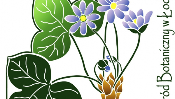 Wystawa "Kultura Japonii" od piątku w Ogrodzie Botanicznym w Łodzi