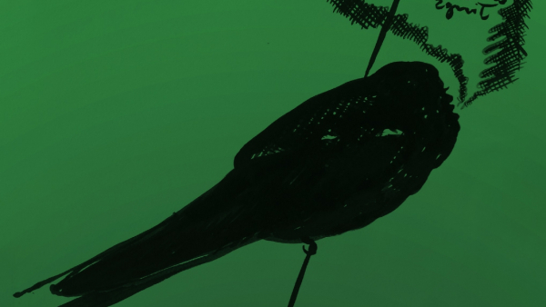  „Balladyna” na scenie Teatru Muzycznego Capitol