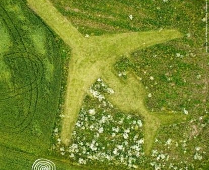 20 artystów z 9 krajów Europy na Festiwalu Land Art'u