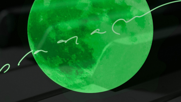 "Muzyka pod Księżycem" - koncert Krzysztofa Baranowskiego