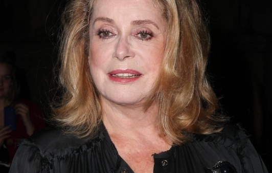 Catherine Deneuve, Juliette Binoche i inni bronią Hollande'a