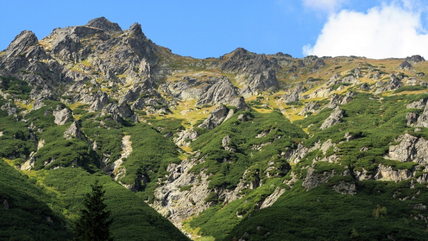 Lato z folklorem i muzyką klasyczną