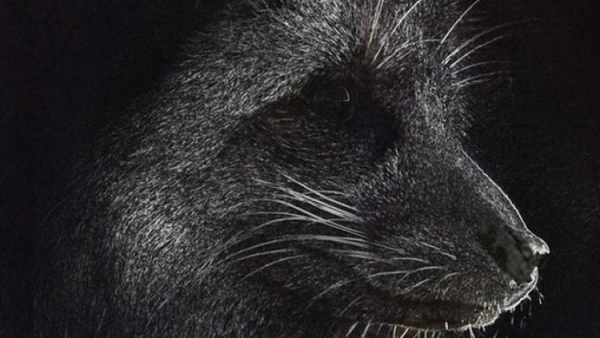 "Dzień Matki" Patryka Kaflowskiego na długiej liście oscarowej