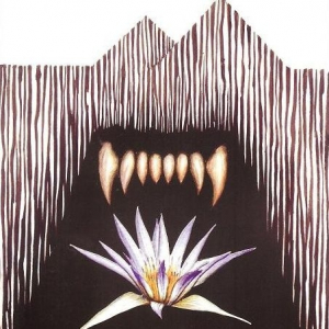 Andrzej Niwiński - "Hieny i lotosy"