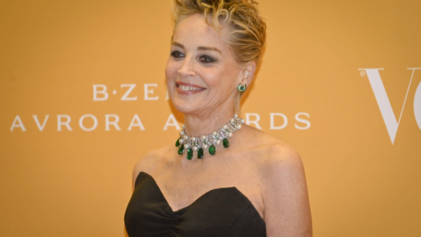 Sharon Stone wystąpi w kinie superbohaterskim. Kogo zagra?