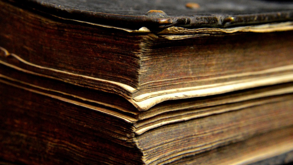 Odnaleziono całość tekstu "Rozmowy Mistrza Polikarpa ze Śmiercią"