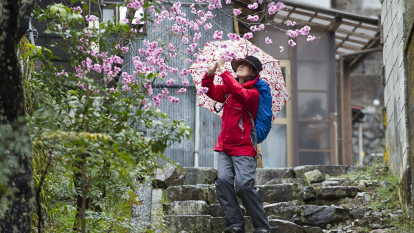 Japonia - turystyczny klejnot blogerów podróżniczych