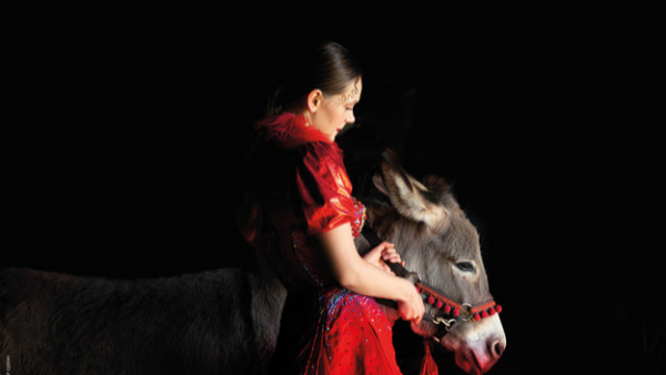 "IO" Jerzego Skolimowskiego bez Oscara 