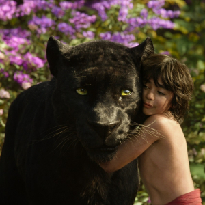 "Księga dżungli" na Blu-ray 3D™, Blu-ray™ i DVD 