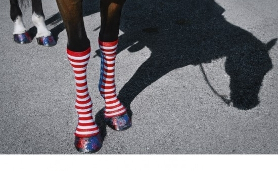 "Teraz - in progress" - wystawa fotografii Tomasza Tomaszewskiego