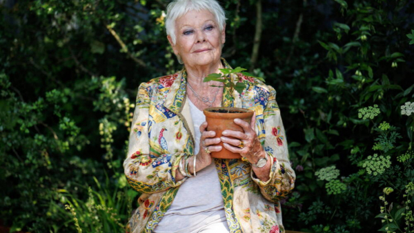 Judi Dench poprowadzi własny program telewizyjny? Pierwszy odcinek czeka na premierę