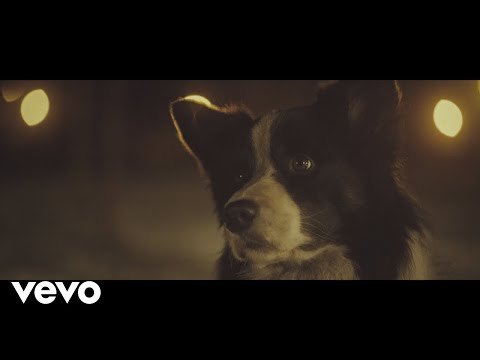Daria Zawiałow - Szarówka