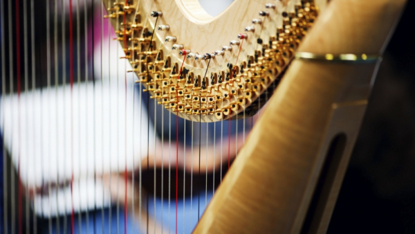 V Międzynarodowy Festiwal Harfowy od środy w Katowicach