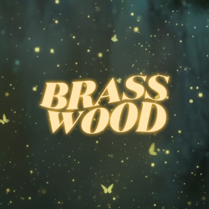 Nowa, filmowa odsłona znanego festiwalu w Operze Leśnej - Brasswood Soundtracks