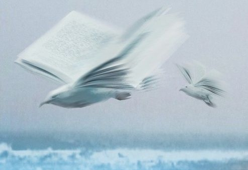 Staroń o "Nagrodzie": kamera musiała przejąć osobowość dziecka