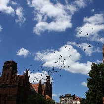 Toruń - inkubator w koszarach