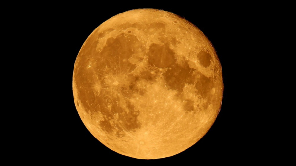 Japońscy naukowcy będą pracować nad metodą uprawy roślin na Księżycu